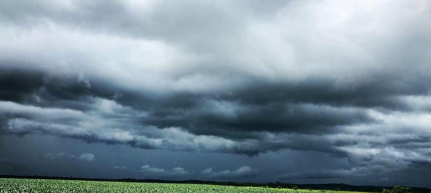 Crop field under a storm sky