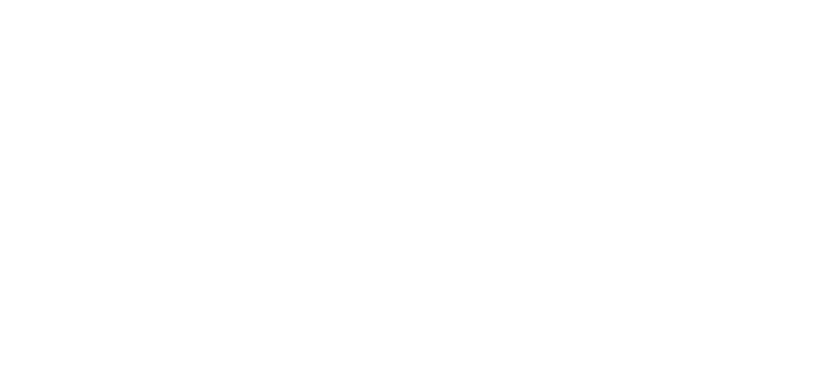 Nyadera Holdings